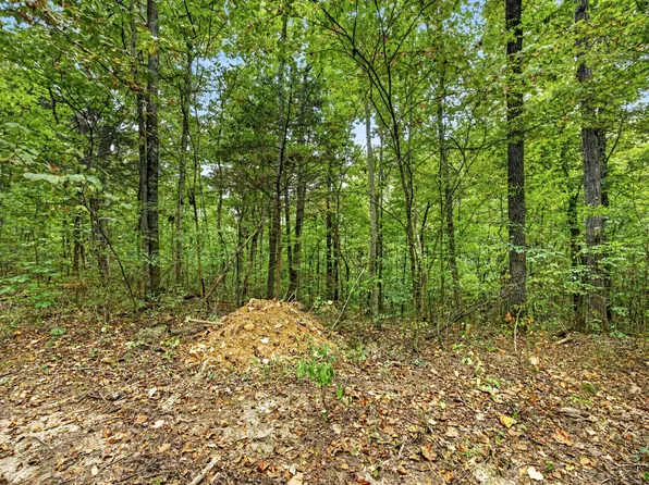 0 Timber Ridge Ln Lot 20, Celina, TN 38551