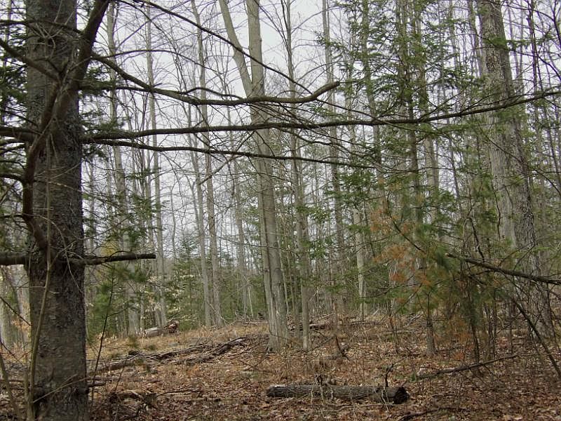 1650 N Hardy Grade, Curran, MI 48728 Zillow