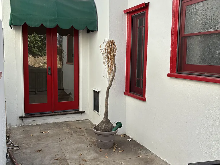 Effie St — Photo 19