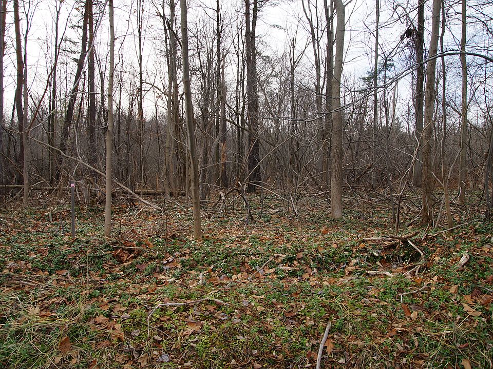 2nd image of 35900 Chagrin Blvd