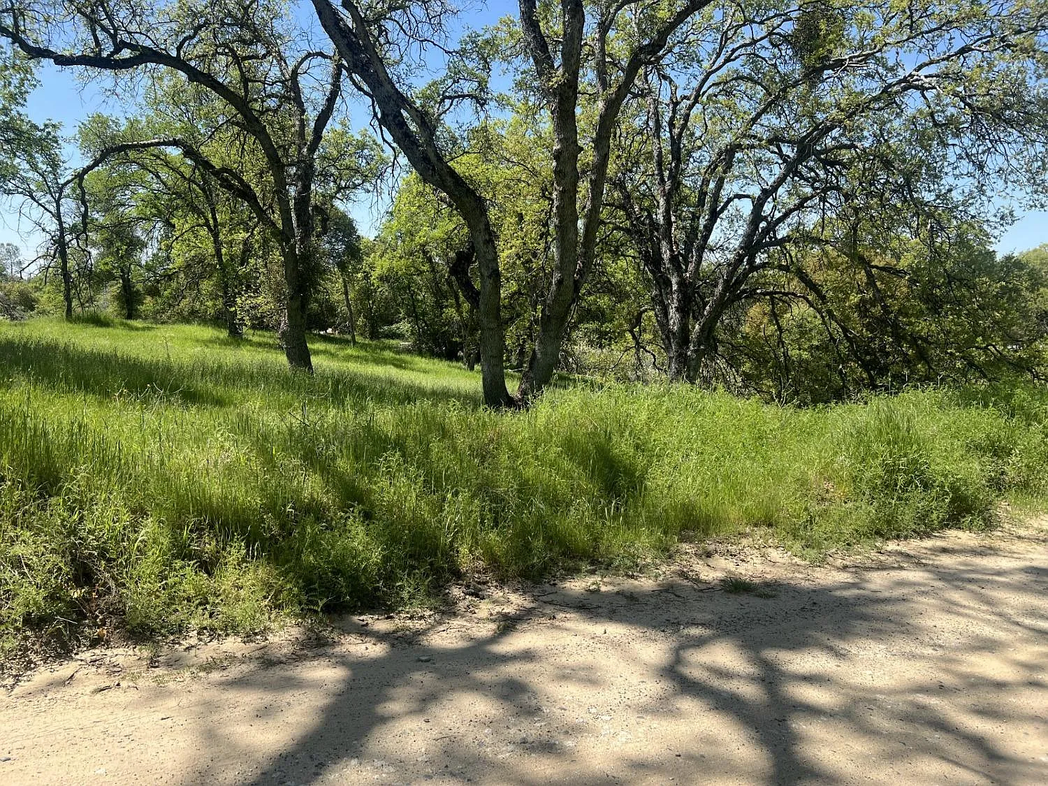 0 Veater Ranch Rd photo 1