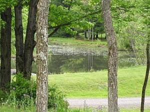 2nd image of 1 Pine Muncy