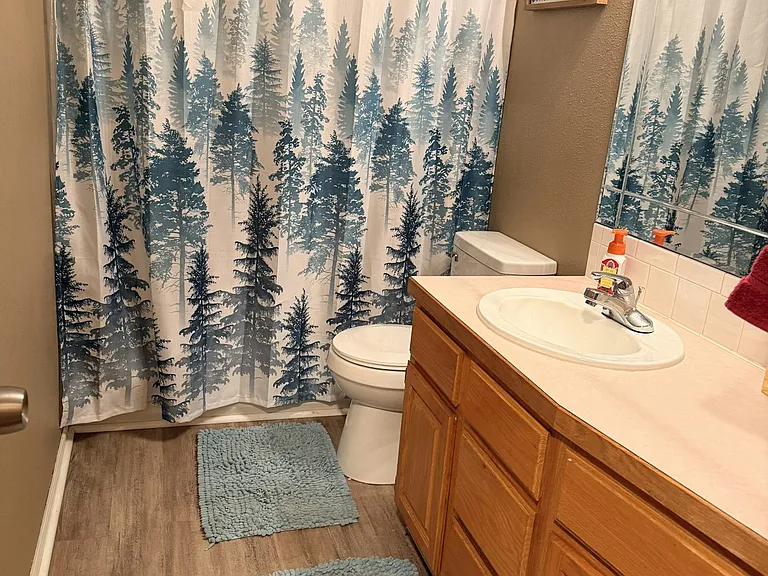 Full Bathroom (main level)