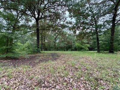 805 County Road 1309, Pittsburg, TX, 75686