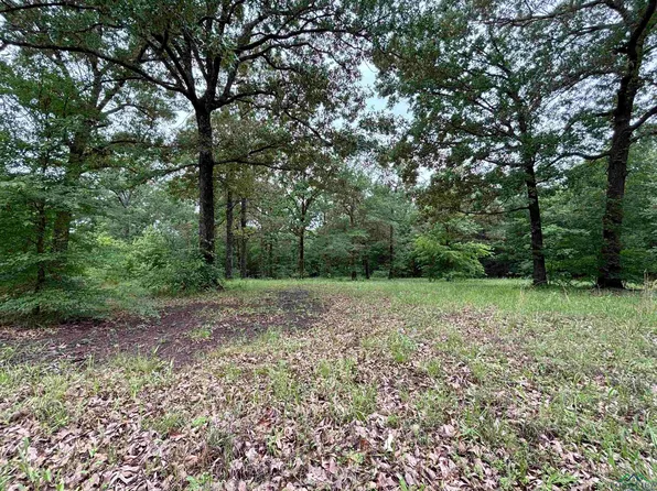805 County Road 1309, Pittsburg, TX 75686