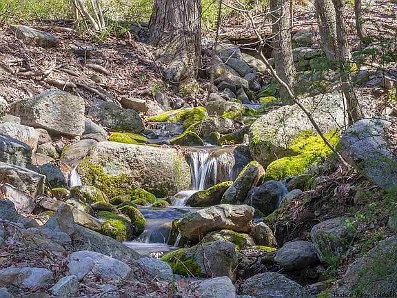 Nearby: Creek in Preserve  