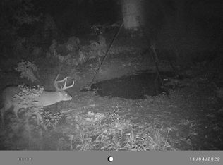 Fm 279, Chandler, TX