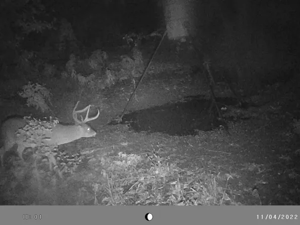 Fm 279, Chandler, TX 75758