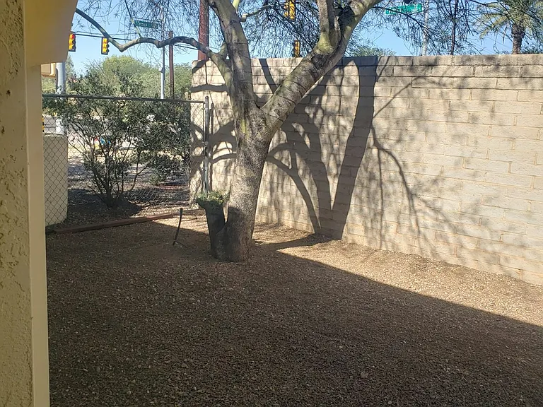 front yard