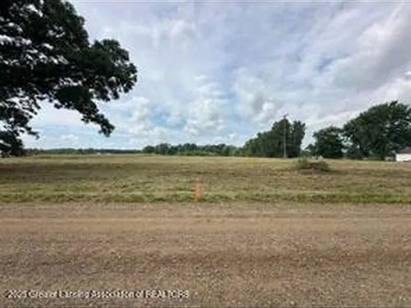 PARCEL 1 Hite Rd, Bancroft, MI 48414