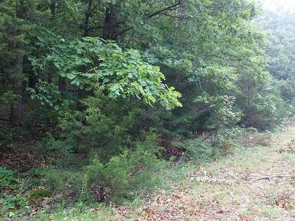 3rd image of 1907 Birch Ln