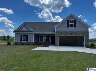 5114 E Old Marion Highway Dillon Ll #B2-LOT 29, Florence, SC 29506