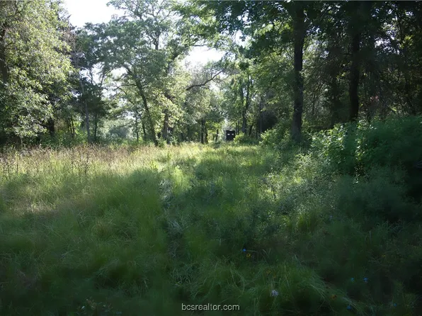 11227 E White Rock Rd, Bremond, TX 76629