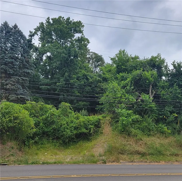 335 Rodi Rd photo 1