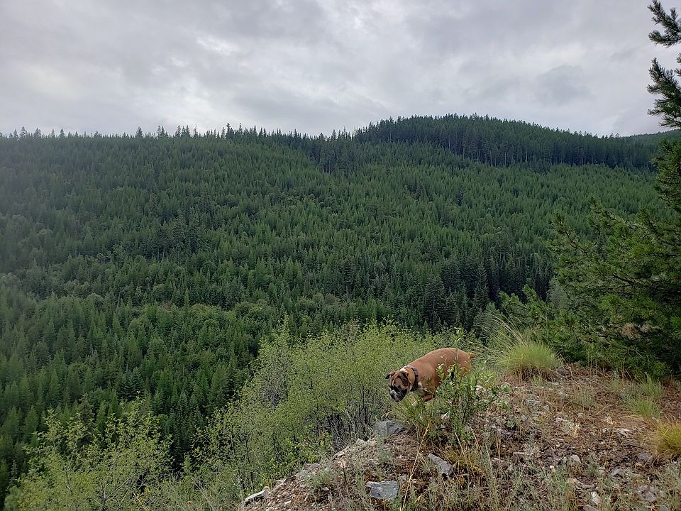 2nd image of LOT 17 Nine Mile Rd