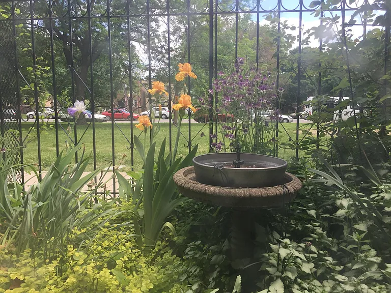 Flowers bloom year-round in the front garden.