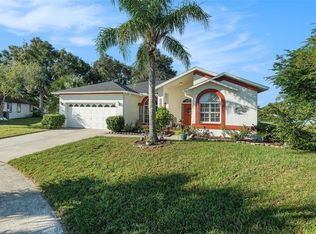 2009 Natrona Ct, Brandon, FL 33511