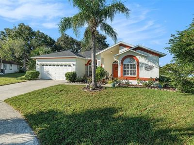 2009 Natrona Ct, Brandon, FL, 33511