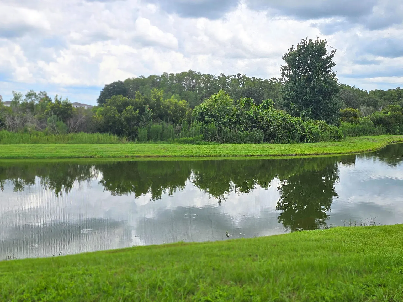 3 bed, 1565 sqft, $2,300 — Photo 4
