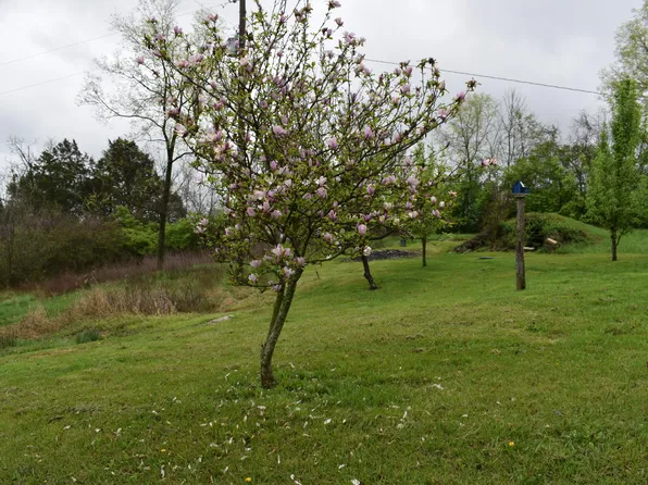 866 McCouns Ferry Rd, Salvisa, KY 40372