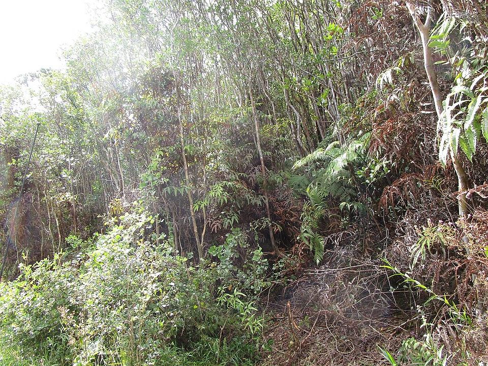 2nd image of Road 6 Lot 371