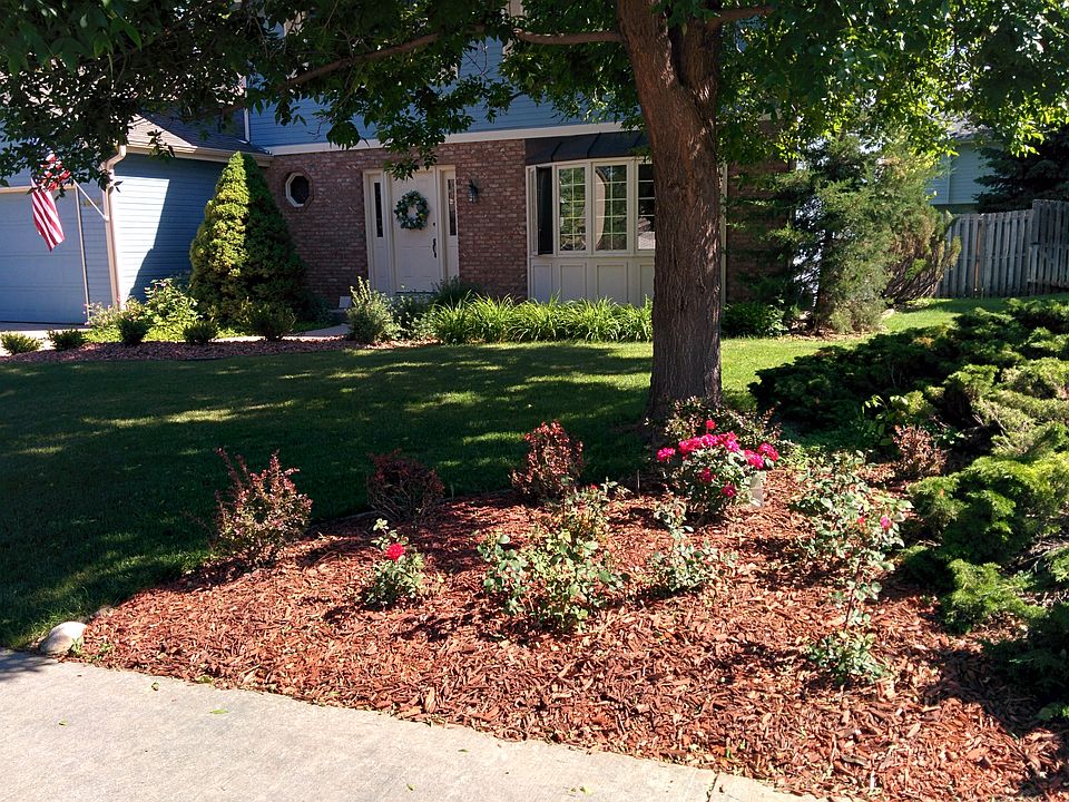 Front yard rose garden
