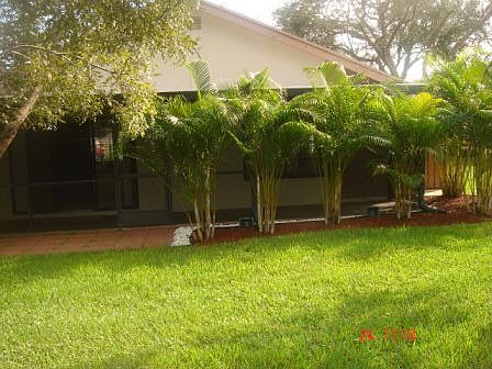 yard