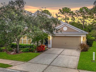 5350 Lookout Pass, Zephyrhills, FL, 33544