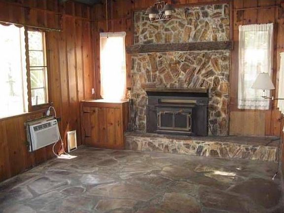 Den / Fireplace
