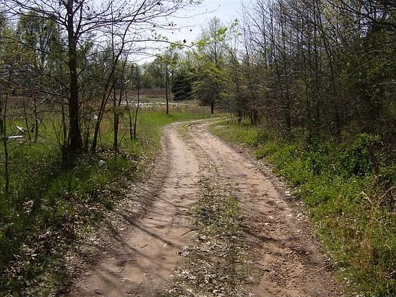 5th image of 16034 County Road 185