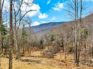 Tbd Phillips Gap Rd, Purlear, NC 28665