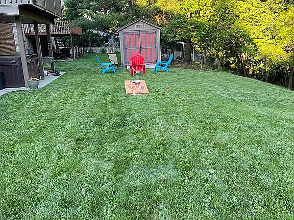 Shed/Back Yard