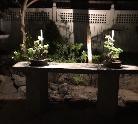 LED lights on stone buffet 