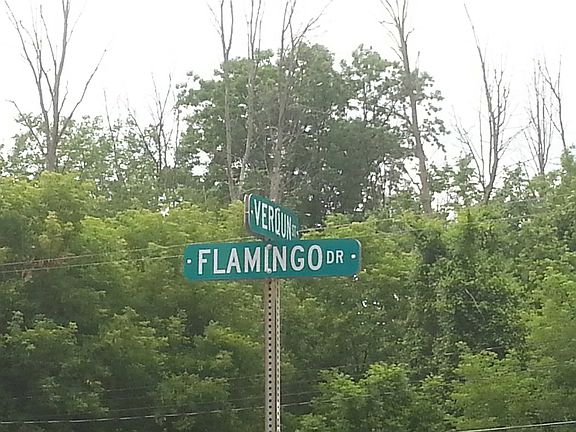 5th image of 1234 Flamingo Dr