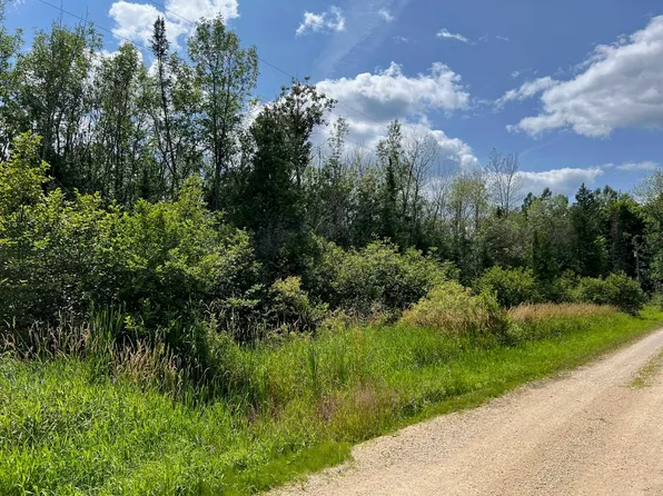 Aderman Ln, Daggett, MI 49821