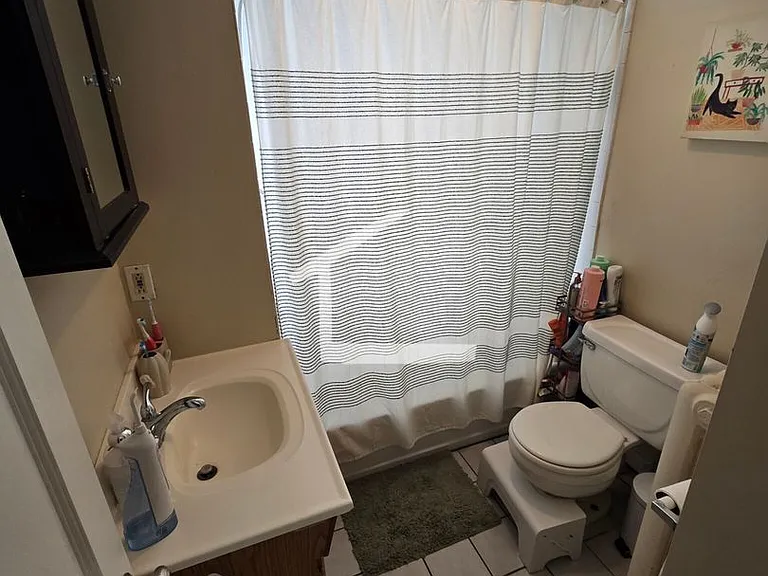 56 Falkland St #1 — Photo 7