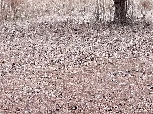 371 Clayton Rd, Princeton, NC 27569