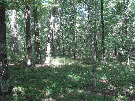 3rd image of 13055 Highway 163