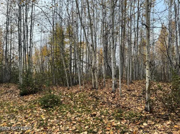 Township Road A S Horseshoe Lake Rd, Big Lake, AK 99652