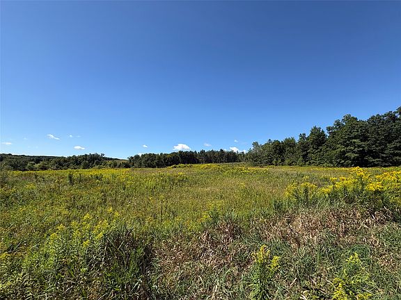4th image of 175 Porter Hollow Rd