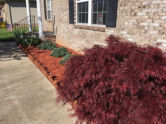 4th image of 208 Shanks Mill Dr