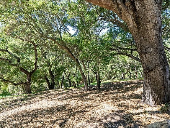 4th image of 2180 San Fernando Rd