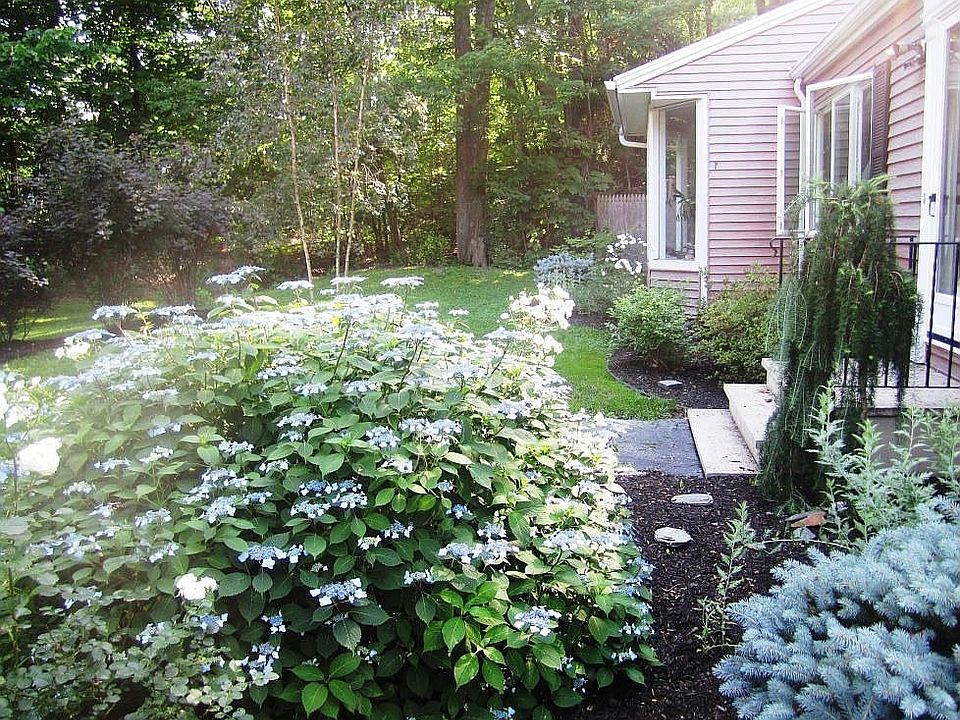Side View of Front Yard