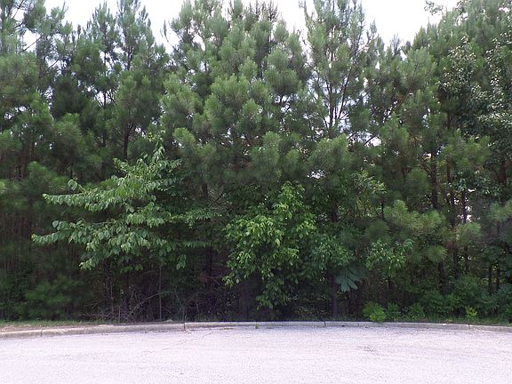 2nd image of 3882 Black Oak Ln