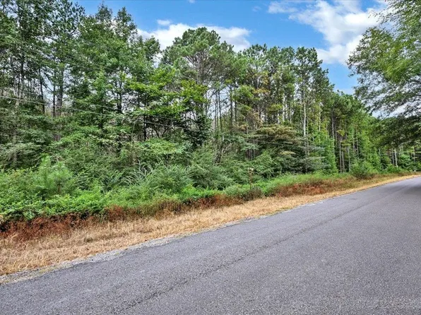 0 County Road 351 #2, Crane Hill, AL 35053