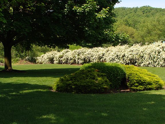 Property in the Spring