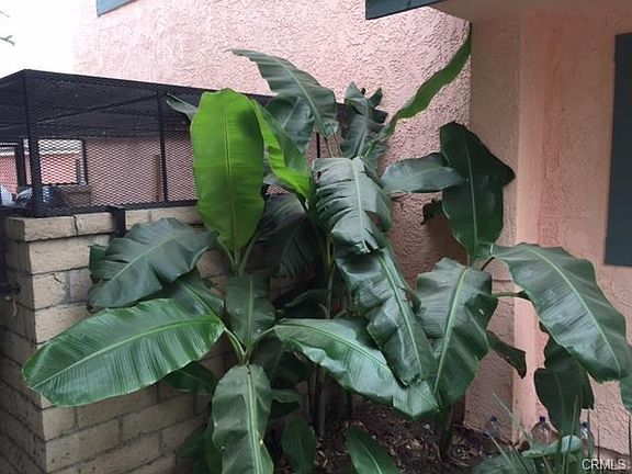3rd image of 2172 Santa Fe Ave