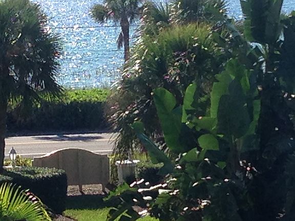 View from living room