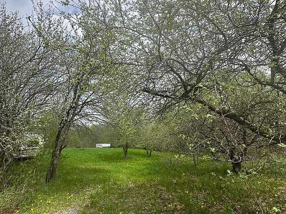 5th image of 0 Rand Hill Rd