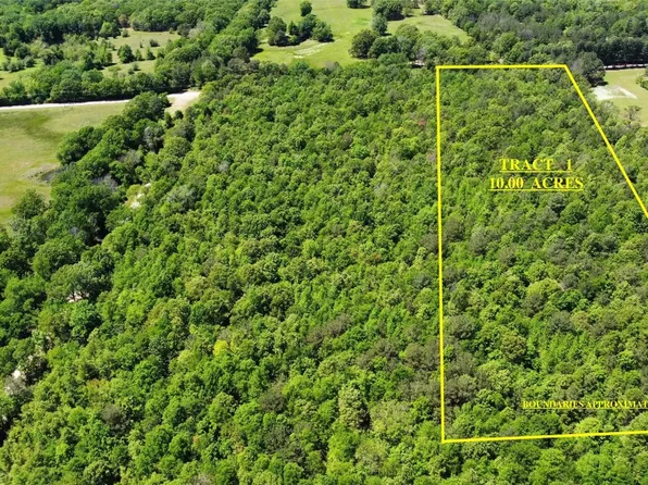 TRACT 1 County Road 4310, Avery, TX 75554